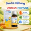 Siro Ho Cho Bé Otosan Fortuss Vị Mật Ong Ngọt Giảm Ho Khan Đau Rát Khàn Tiếng Tan Đờm Chai 180g