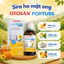 Siro Ho Cho Bé Otosan Fortuss Vị Mật Ong Ngọt Giảm Ho Khan Đau Rát Khàn Tiếng Tan Đờm Chai 180g