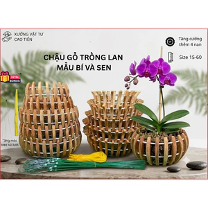 Chậu Gỗ Trồng Lan VIP+Móc Treo Lưới Lót. Từ 2 Tặng Phân Dê Từ 4 Tặng Dây Rút. Thêm 4 Nan F20 25 30 35 40 Gỗ Nhãn Nghiến