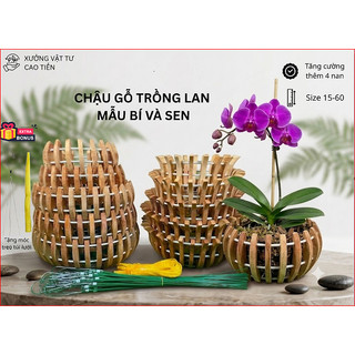 COMBO 4 Chậu Gỗ Nhãn Tăng Thêm 4 Nan. Tặng Móc Treo 1M, Lưới Lót, Phân Dê, Dây Rút. Từ F20 25 30 35 40, 2 Mẫu Sen Và Bí