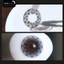 Lens mắt 100 Gray màu xám họa tiết cánh hoa, viền đen, size lớn - thương hiệu LUNA EYES
