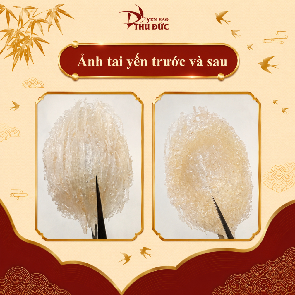 Yến Sào Tinh Chế Sợi Loại 1 Yến Sào Thủ Đức - Tổ Yến Nguyên Chất 100% Không Đường Tạp Chất (Có hộp quà tặng) - TYSCSL
