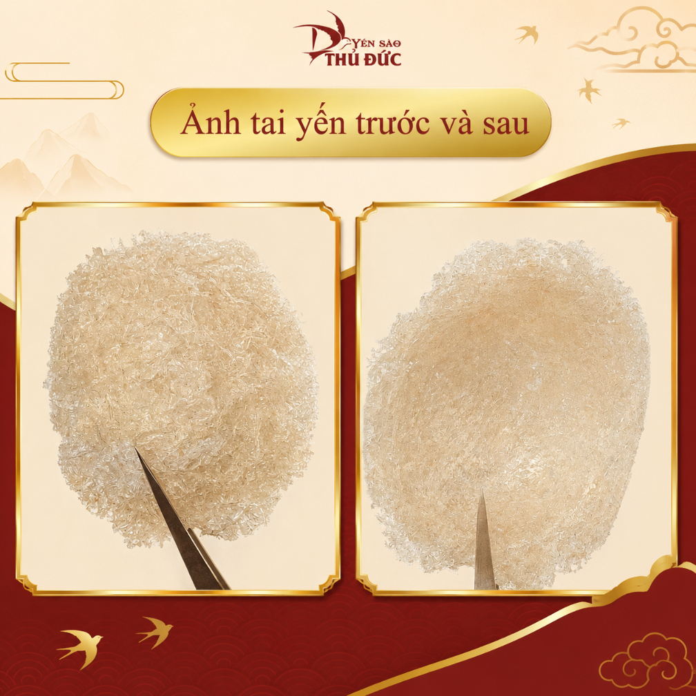 Yến Vụn Tinh Chế Yến Sào Thủ Đức  - Tổ Yến Sào Nguyên Chất 100% Không Đường Tạp Chất - TYSCSL