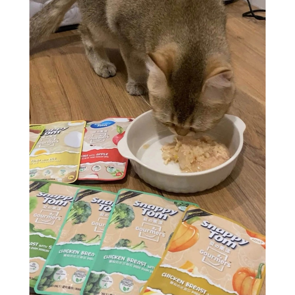 [COMBO 12-24GÓI]Pate Snappy Tom Trái Cây 70g hộp 24gói cho mèo cá ngừ kết hợp trái cây hỗ trợ tiêu hóa