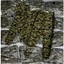 Set Bộ Nỉ Adi Das Thể Thao Camo Họa tiết Rằn Ri Mặc Thu Đông Thời Trang Chất Nỉ Bông 2 Lớp Ấm Áp Form Chuẩn