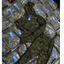 Set Bộ Nỉ Adi Das Thể Thao Camo Họa tiết Rằn Ri Mặc Thu Đông Thời Trang Chất Nỉ Bông 2 Lớp Ấm Áp Form Chuẩn