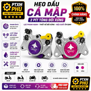 Heo dầu xe điện độ-heo cá mập 2piston