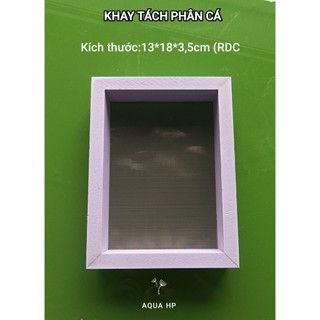 KHAY TÁCH PHÂN BỂ CÁ khung nhựa công nghiệp lưới inox không rỉ 15*15*3,5 cm DRC ( kích thước phủ bì cả khung)