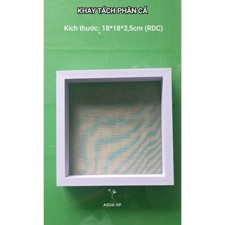 KHAY TÁCH PHÂN BỂ CÁ khung nhựa công nghiệp lưới inox không rỉ 15*15*3,5 cm DRC ( kích thước phủ bì cả khung)