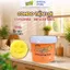 Chất Tẩy Dạng Bột Nhão Tangerine Clean 500gam - Scrub Daddy Rửa Sạch Mọi Vết Bẩn
