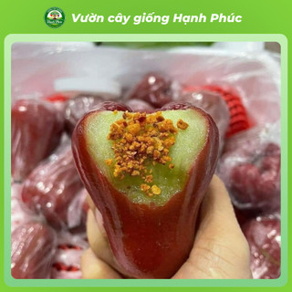 Cây giống ROI/ MẬN: Roi Xanh, Roi Đỏ năng suất cao, Dễ Trồng, Dễ thích nghi, Quả mọng nước