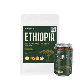 Ethiopia – Guji Uraga Yabitu - Nguyên hạt - Monstera Roastery