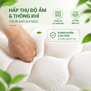 Nệm lò xo KADE lò xo liên kết 19cm Nâng Đỡ Trọn Vẹn giấc ngủ Nệm Khách Sạn giá tốt bảo hành 10 năm