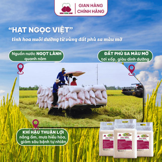 [DATE MỚI]Gạo Sạch Hữu Cơ MN66 Ngon Cơm,Dẻo Vừa,Mềm Cơm,Hỗ Trợ Tiêu Hóa,Không Chất Bảo Quản,Gạo Quê(Túi 5kg)