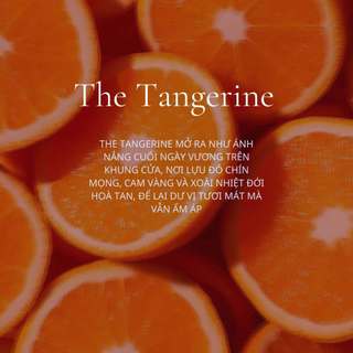 Nến Thơm Tangerine Quà Tặng Cao Cấp Hương Ngọt Mát [Kèm Túi Thiệp] Cho Phòng Vừa Và Nhỏ