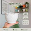 Chậu Nhựa Mini Trái Dứa [3 size] Nhựa trắng cao cấp, bền đẹp