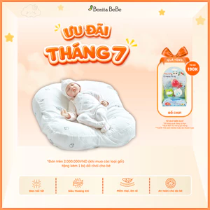 Đệm/Gối Chống Trào Ngược Cho Bé BonitaBeBe Hạn Chế Tình Trạng Nôn Trớ, Không Võng Lưng [Có Lẻ Ruột Gối]