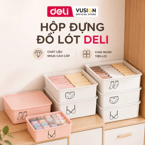 Hộp Đựng Đồ Lót Chia Ngăn Có Nắp Deli – Hộp Nhựa Siêu Dày Đựng Tất Vớ, Khay Sắp Xếp Tủ Quần Áo