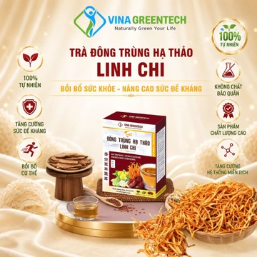 Trà Túi Lọc Đông Trùng Hạ Thảo Linh Chi Vinagreentech Hộp 30 Gói Chính Hãng - Trà Thảo Mộc Thiên Nhiên Dễ Pha Tiện Lợi