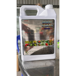 Phân bón vi lượng ROOT SEAWEED can 5 lít kích rễ FUGO