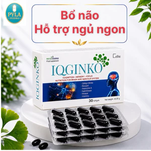 IQGINKO Nhập Khẩu Pháp - Viên Uống Bổ Não Hỗ Trợ Tăng Cường Trí Nhớ, Tuần Hoàn Não, Giảm Hay Quên - 30 Viên
