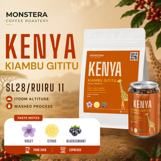 Kenya – Kiambu Gititu Factory AA - Nguyên hạt - Monstera Roastery
