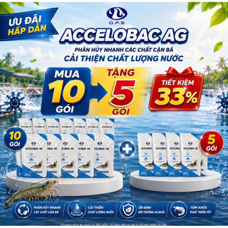 ( COMBO 15 GÓI) ACCELOBAC AG 22G- phân hủy các chất cặn bã, cải thiện chất lượng nước ao nuôi