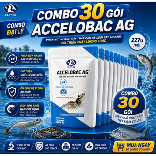 (1 Thùng 30 gói) Accelobac Ag - Vi sinh giúp cải thiện chất lượng nước ao nuôi tôm, cá