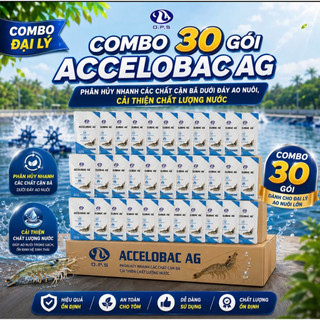 (1 Thùng 30 gói) Accelobac Ag - Vi sinh giúp cải thiện chất lượng nước ao nuôi tôm, cá