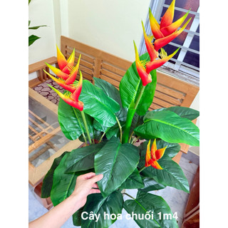 cây giả,cây hoa chuối(chuối pháo) 1m4 decor trang trí