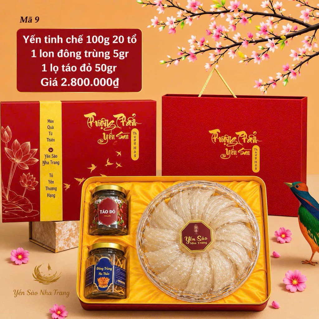 Hôp qua Tổ yến sào tinh chế  cao cấp loại 1 ( yến + táo đỏ + đông trùng)
