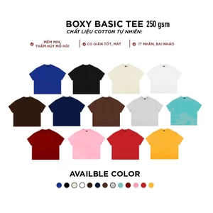 SAMTEE Áo Thun Trơn , Áo Thun Boxy Form Rộng Unisex 250Gsm 100% Cotton