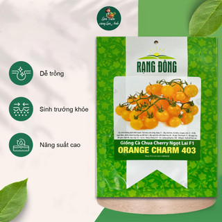 Hạt giống Cà Chua Cherry Vàng Lai F1 Siêu Quả (Gói 1g~45 Hạt) Dễ Trồng, Năng Suất Cao