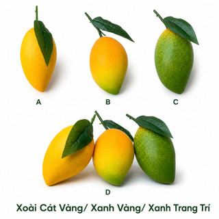 Trái Xoài Cát Giả (Vàng, Xanh, Xanh Vàng) Cao Cấp Trang Trí | Trái Cây Nhựa Foam Giống Thật Decor Quán Cà Phê Khách Sạn