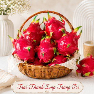 Trái Thanh Long Giả Cao Cấp Trang Trí | Trái Cây Giả Nhựa Foam Giống Thật Decor Quán Cà Phê Khách Sạn