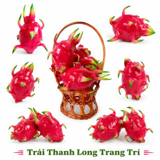 Trái Thanh Long Giả Cao Cấp Trang Trí | Trái Cây Giả Nhựa Foam Giống Thật Decor Quán Cà Phê Khách Sạn