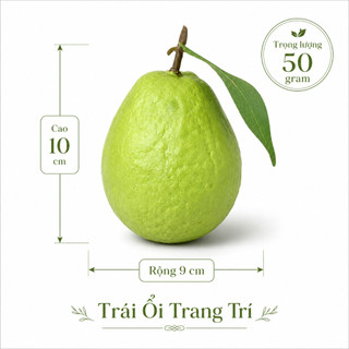 Trái Ổi Giả Cao Cấp Trang Trí | Trái Cây Giả Nhựa Foam Giống Thật Decor Quán Cà Phê Khách Sạn