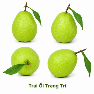 Trái Ổi Giả Cao Cấp Trang Trí | Trái Cây Giả Nhựa Foam Giống Thật Decor Quán Cà Phê Khách Sạn