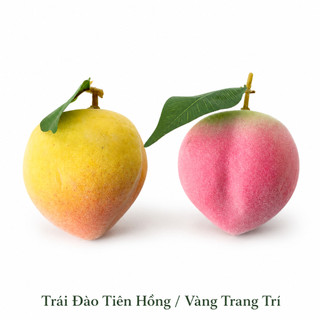 Trái Đào Tiên Giả Cao Cấp Trang Trí | Trái Cây Giả Nhựa Foam Giống Thật Decor Quán Cà Phê Khách Sạn