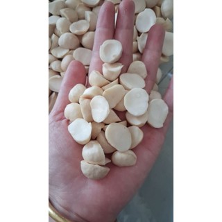 500gr Nhân Macca vỡ đôi SẤY làm sữa Đăk Lăk, nhân trắng, giòn VỤ MÙA 2026