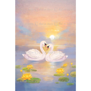 [KatinTown] [Size ~10x14cm] Ảnh Đôi Thiên Nga Tình Yêu Phong Cách Màu Dễ Thương