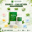 Esunvy Cao Kế Sữa – Hỗ Trợ Giảm Mụn, Giảm Thâm Sau Mụn, Thanh Nhiệt Giải Độc, Bổ Sung Collagen & Vitamin E - Hộp 30 viên