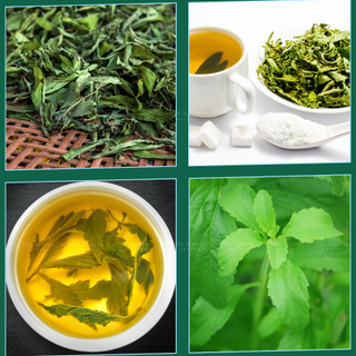 Cỏ Ngọt Sấy Khô Nguyên Lá – Thảo Mộc Tạo Ngọt Tự Nhiên, Thanh Mát, Dễ Uống, Dùng Pha Trà