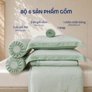 [LỤA TENCEL SIÊU MÁT LẠNH] Bộ 6 món chăn ga gối Tencel Pristine nhiều size 100% tencel chính hãng