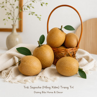 Trái Saboche Giả (Trái Hồng Xiêm) Cao Cấp Trang Trí | Trái Cây Giả Nhựa Foam Giống Thật Decor Quán Cà Phê Khách Sạn