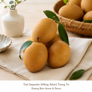 Trái Saboche Giả (Trái Hồng Xiêm) Cao Cấp Trang Trí | Trái Cây Giả Nhựa Foam Giống Thật Decor Quán Cà Phê Khách Sạn