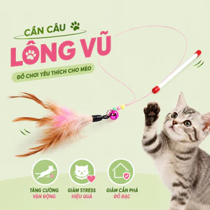 Đồ Chơi Cần Câu Mèo - Tăng Vận Động Cho Mèo, Giảm Stress