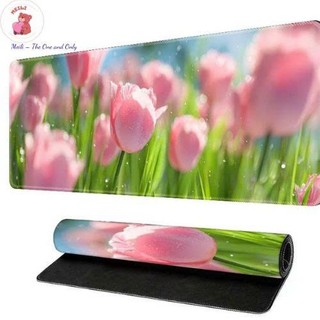 ( TẶNG SET 10 KHẨU TRANG) Miếng lót chuột Nhéo Má Shiba 80x30 hoạt hình dễ thương chống nước cực êm Meili Store