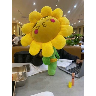 Hoa Hướng Dương Tốt Nghiệp, Tặng Bạn Gái, Tặng Quà Tốt Nghiệp Ý Nghĩa