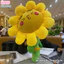 Bông Hoa Hướng Dương Tặng Tốt NGhiệp Ý Nghĩa